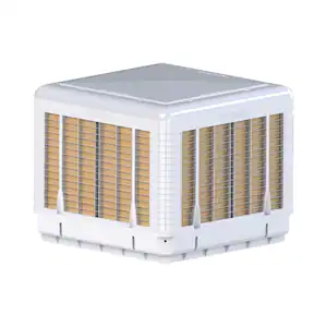 Bonaire Durango 2825/5300 CFM 115 Volts 2-Speed Down/Side Discharge Roof Top Evaporative Cooler For 2000 Sq. ft. (with Motor)