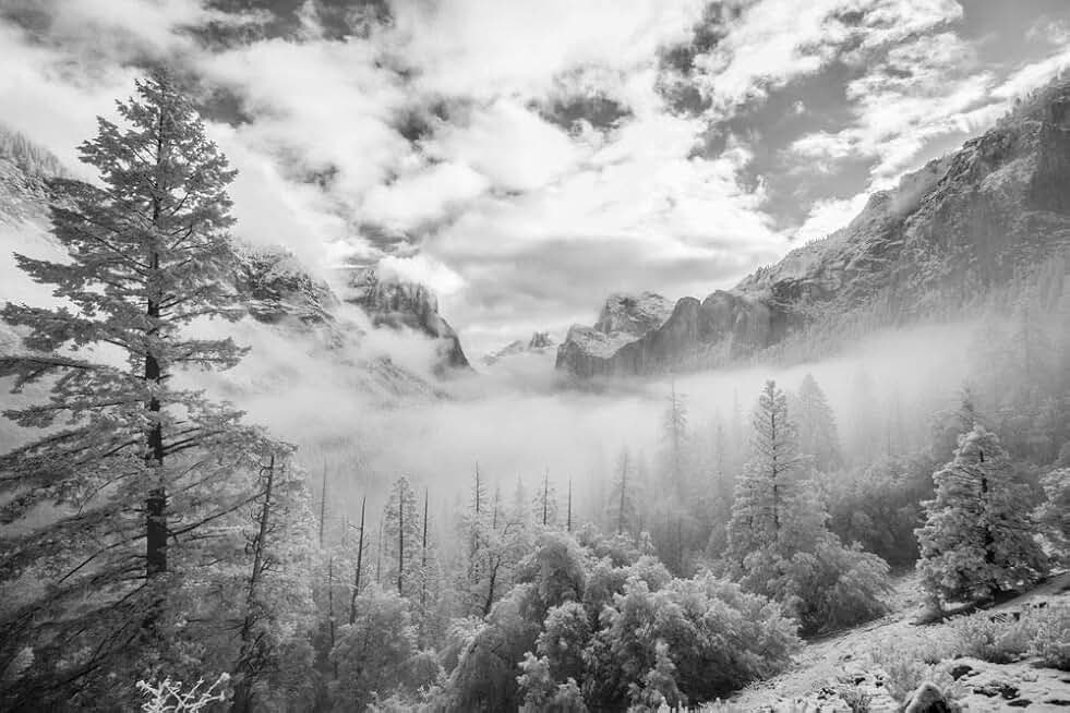 Snowy Tunnel View in Yosemite National Park Photography by Frank Ruggles (36x54 Giclee Gallery Print)