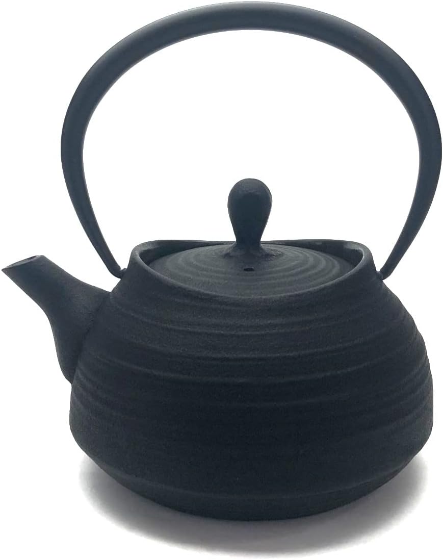 Southern iron teapot brush marks Hakeme 0.4L Black (japan import)