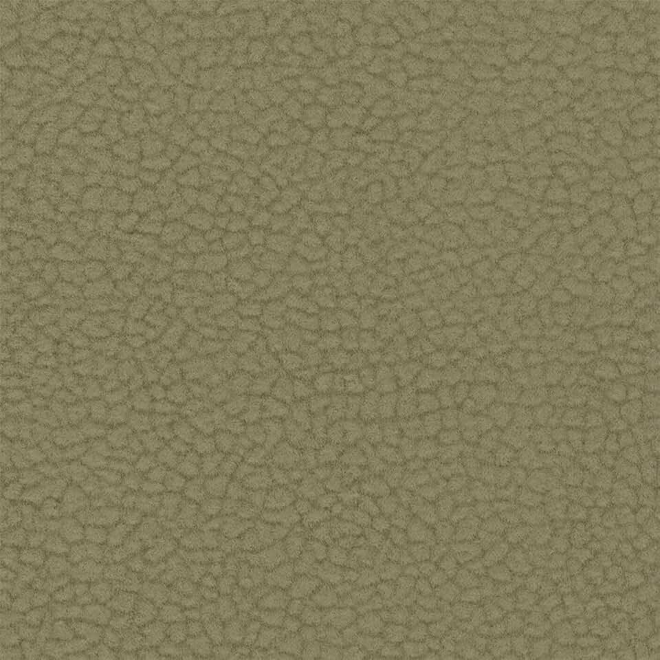 Liz Jordan-Hill Green Luxury Embossed Upholstery Fabric by The Yard, Pet-Friendly Water Cleanable Stain Resistant Aquaclean Material for Furniture and DIY, AC Carabu 049 Evergreen(5 Yards)