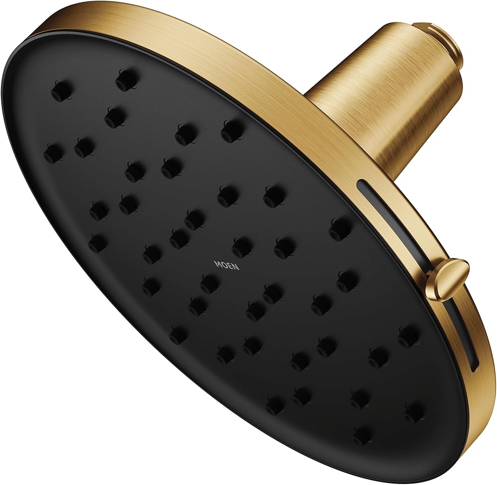 Moen 220R3EPBG Verso Adjustable 9