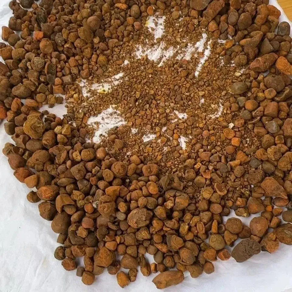 Real China Natural Dry Bezoar/Calculus Bovis/Cow-Bezoar Wholesale 50g