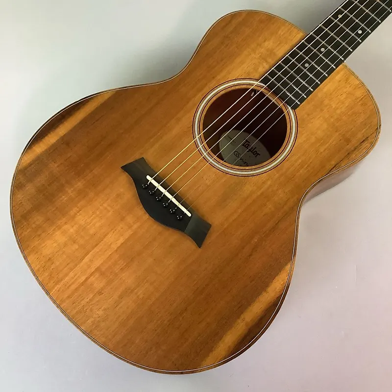 Taylor GS-mini-e KOA