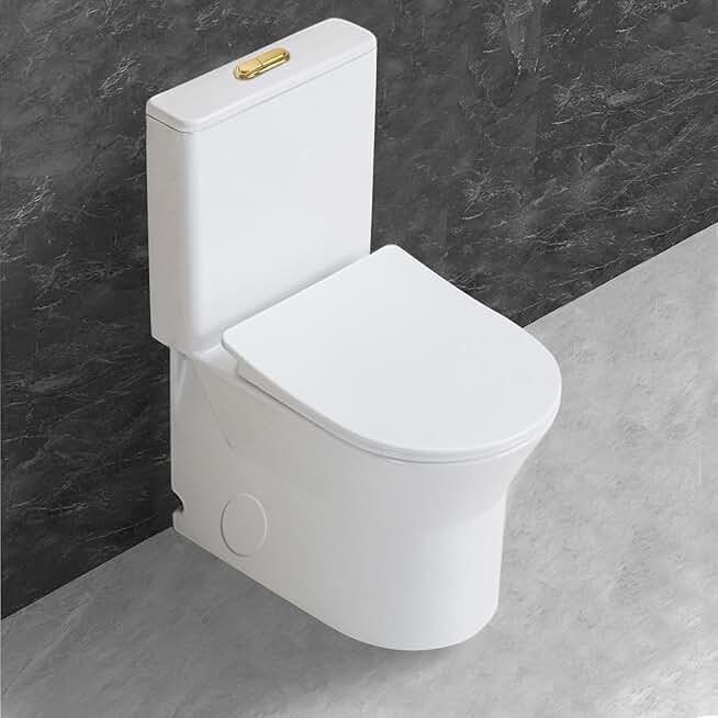 Small 23 inch One Piece Toilet with 10 inch Rough-in Compact For Compact Short Bathroom,White with Golden Button