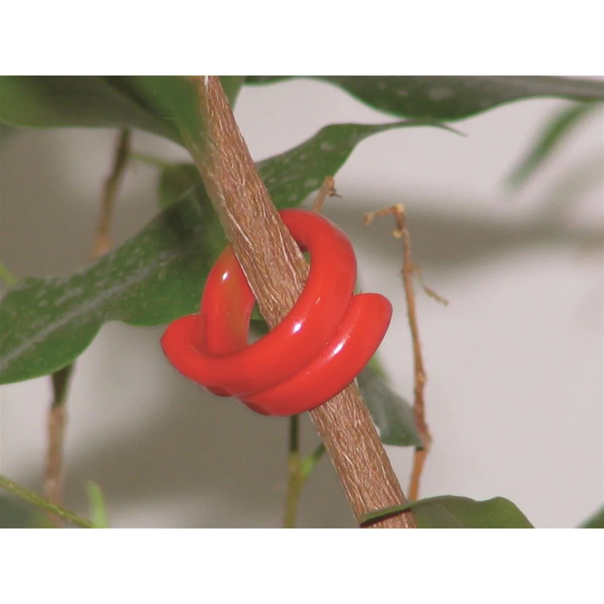 NoMate Codling Moth Mating Disruption, 400 count