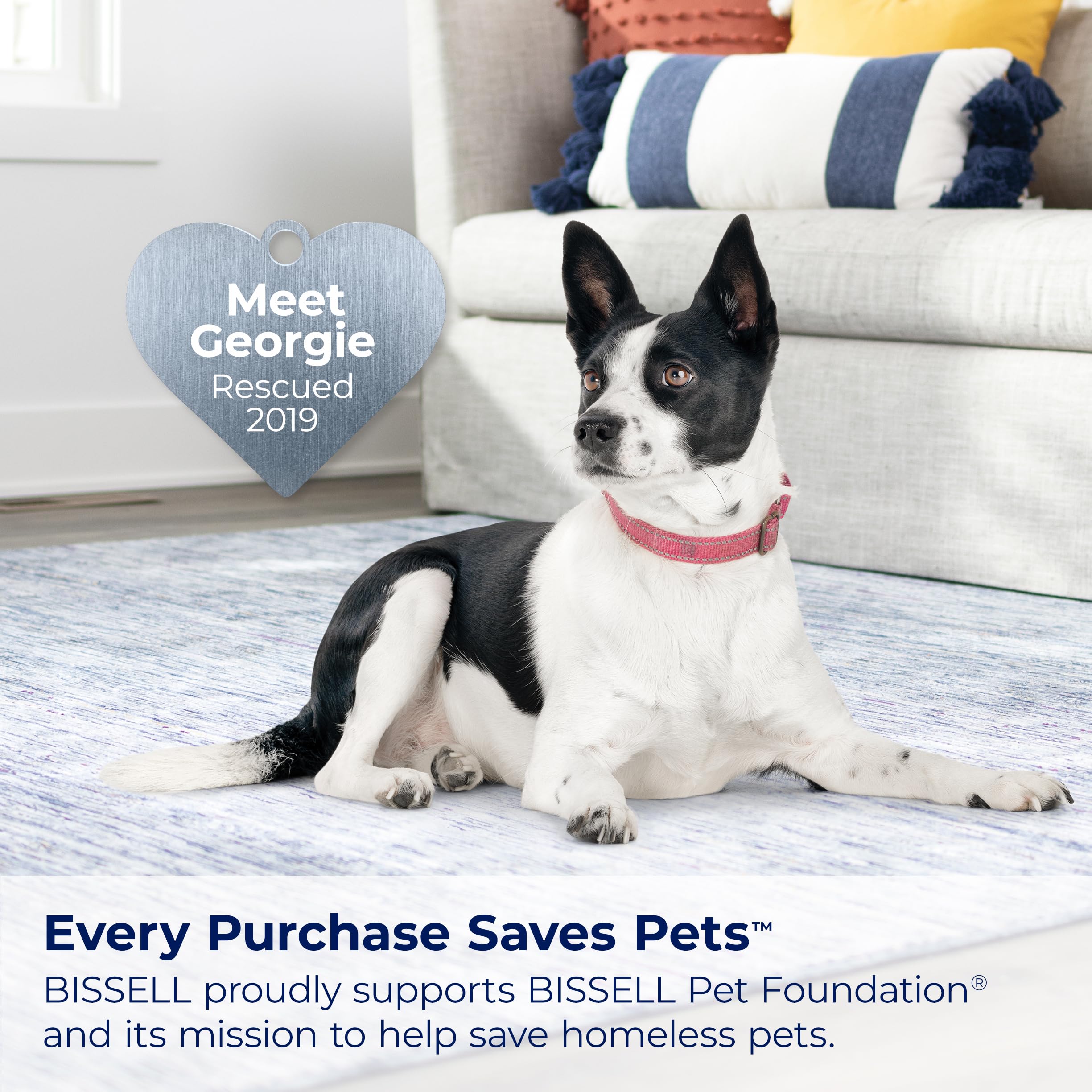 BISSELL Little Green HydroSteam Multi-Purpose Portable Carpet and Upholstery Cleaner, Black and Copper Harbor