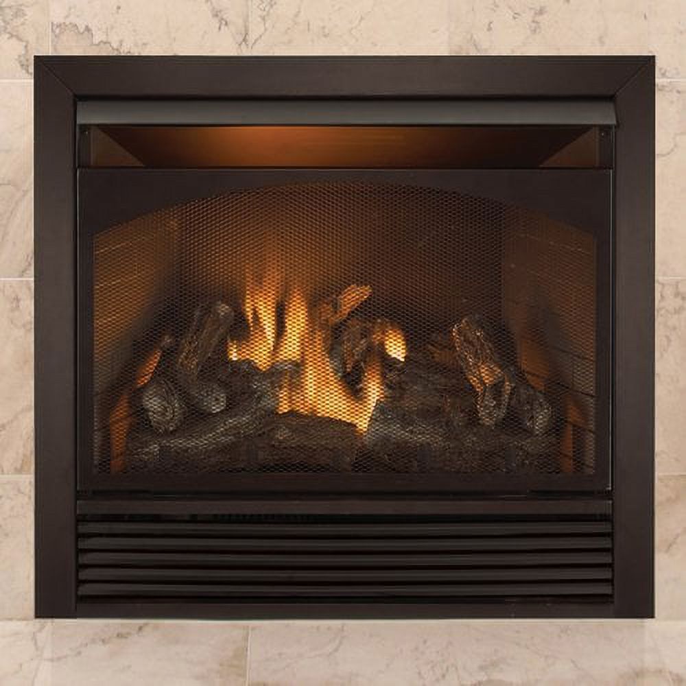 Duluth Forge Dual Fuel Ventless Fireplace Insert - 32,000 BTU, Remote Control FDI32R