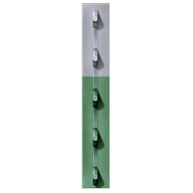 Chicago Heights Steel FRPT12500066G4N 1.25 in. x 6 ft. 6 in. Green Studded T-Post- Pack Of 5