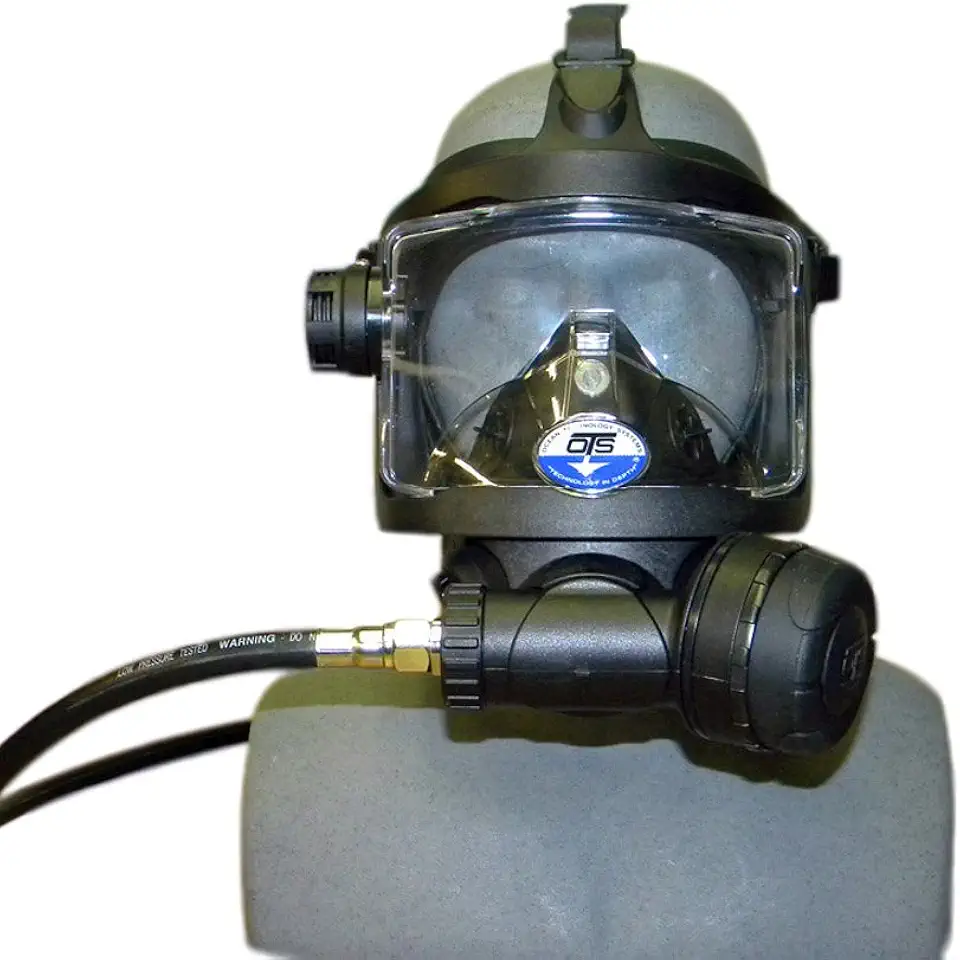 Guardian Full Face Mask