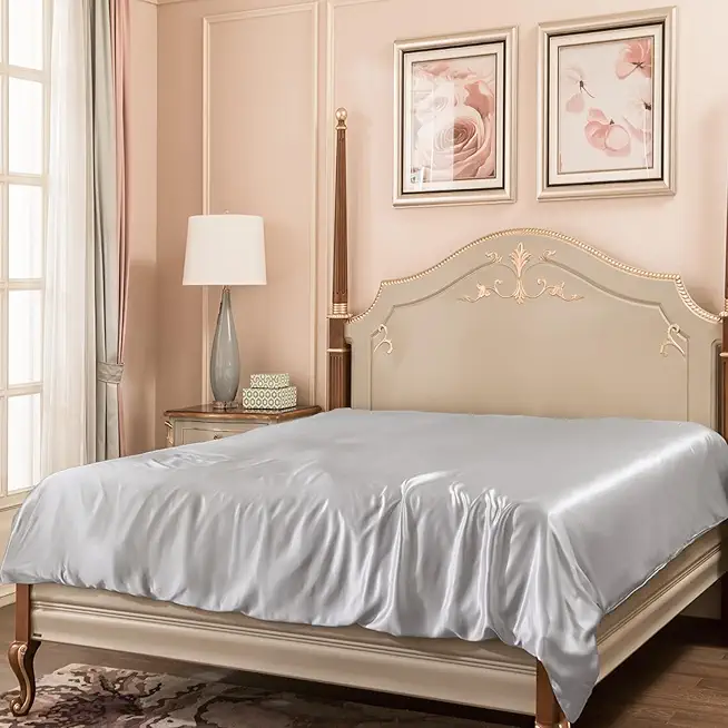 PROMEED 100% Mulberry Silk Duvet Cover Full Size, Ultra-Soft 22 Momme Grade 6A Silk Comforter/Quilt Cover with Zipper & Corner Tie (Light Grey, Full)