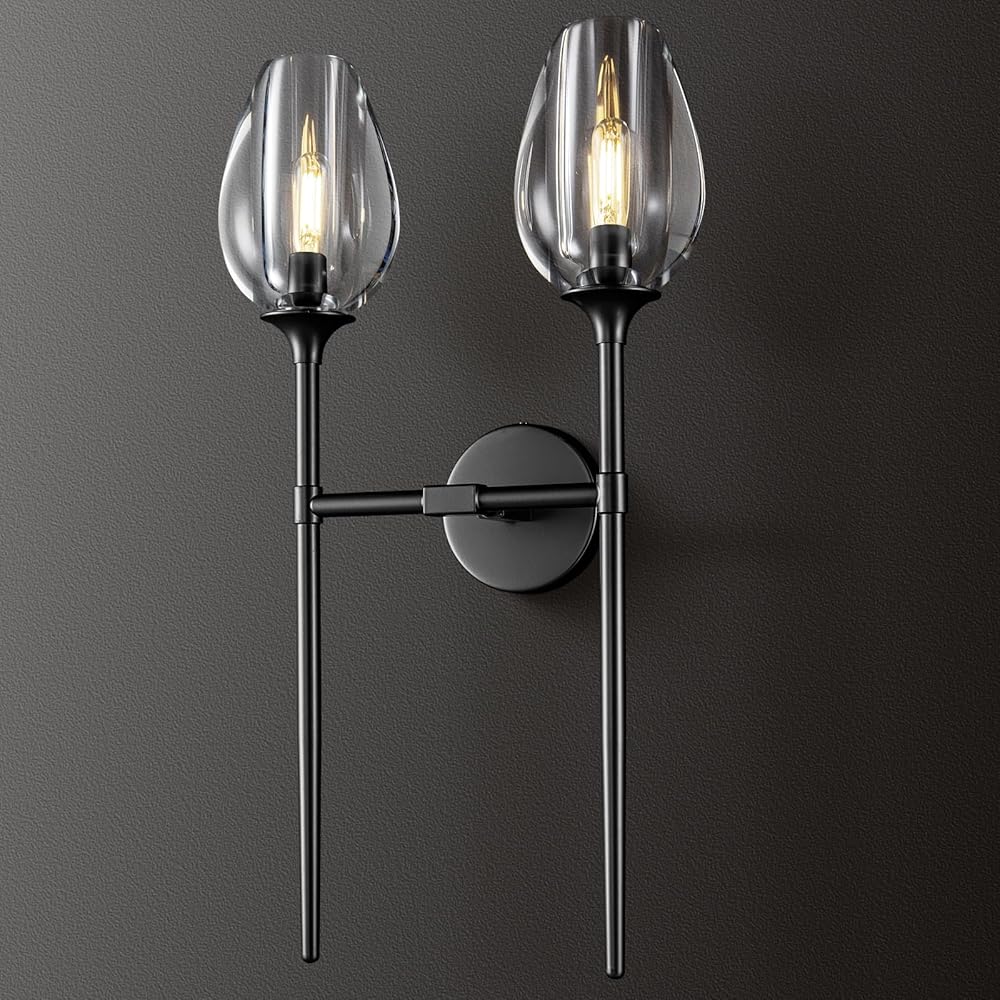 Wall Sconce 2 Lights Modern, Bathroom Vanity Lighting Fixtures over Mirror, Wall Decor Lamp, Wall Mount Light with Clear Glass Shade for Porch Workshop Kitchen Living Room