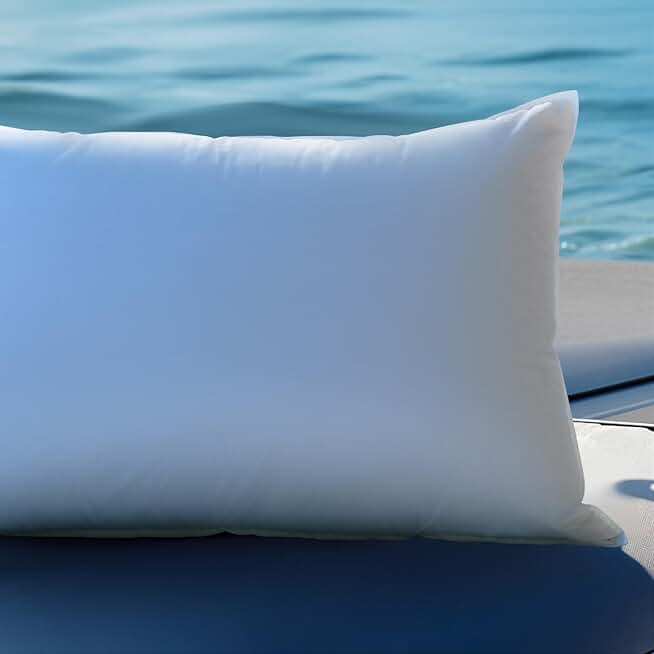 Shilucheng Canadian White Goose Down Bed Pillows Queen Size Set of 2