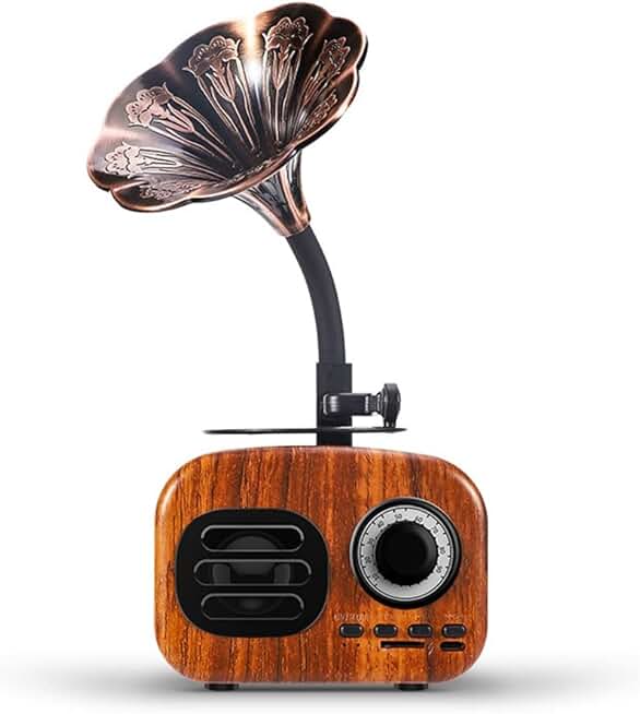 Speaker Retro Wooden Carrying Case Speaker Outdoor Sound System TF FM Radio Music MP3 Subwoofer