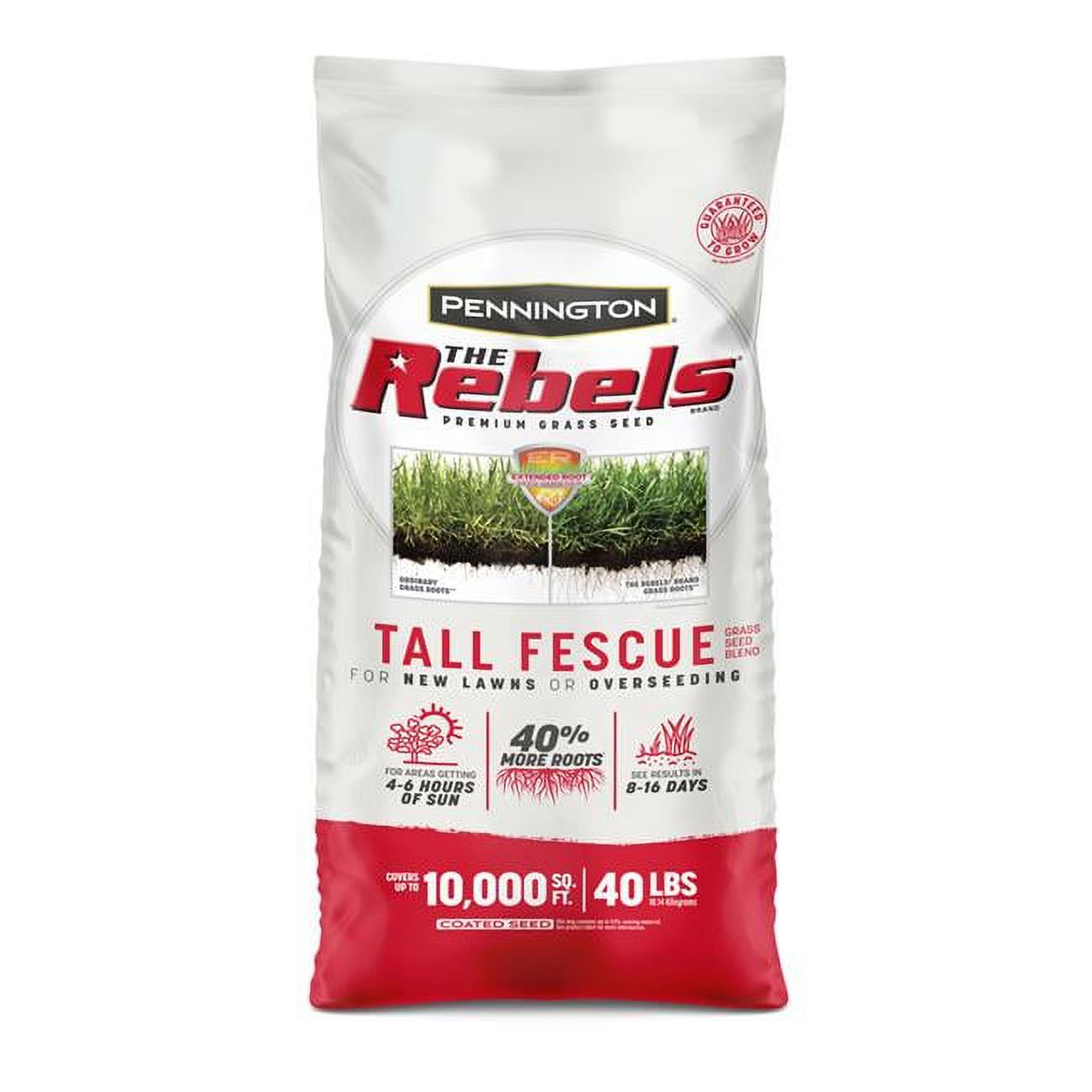 Pennington Seed 40 lbs The Rebels Tall Fescue Sun & Shade Grass Seed, Dark Green