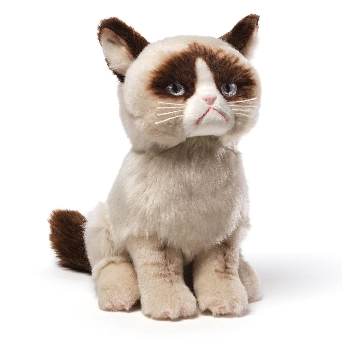 Grumpy Cat 9
