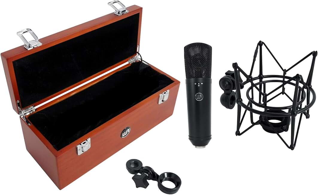 Warm Audio WA-87 R2 Large Diaphragm Condenser Microphone - Black