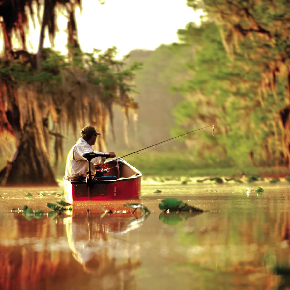 Minn Kota Endura C2 40 lb Thrust 36  Shaft Freshwater Transom Mount Trolling Motor