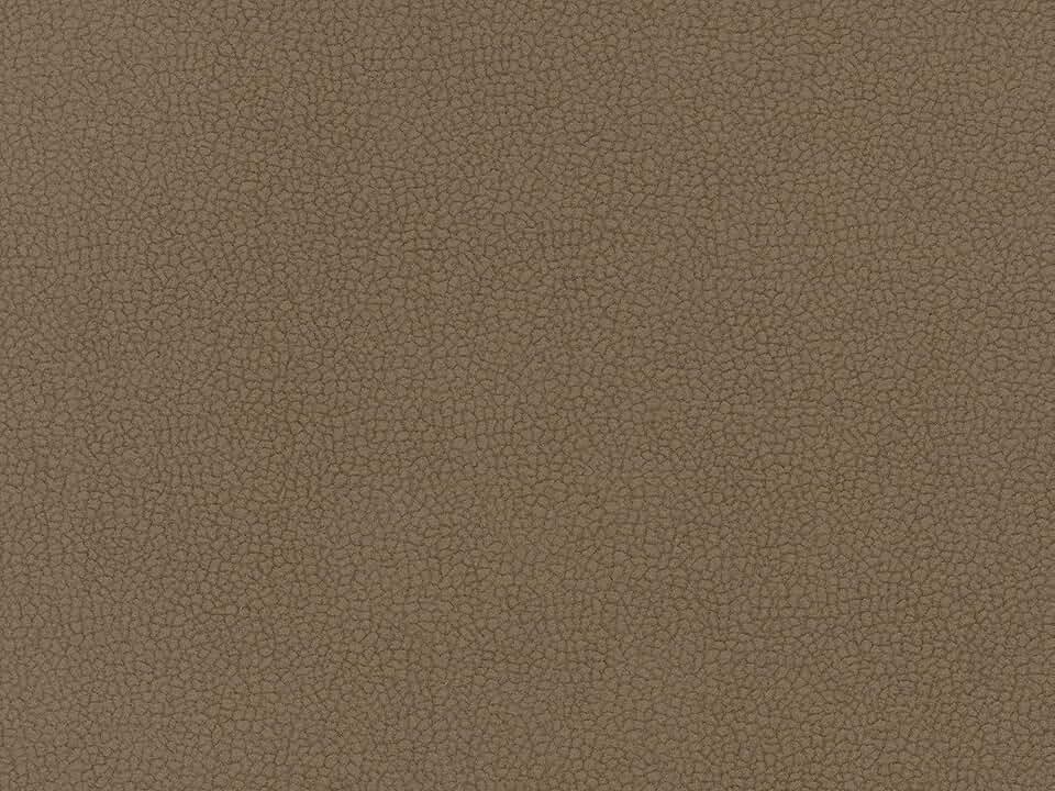 Liz Jordan-Hill Brown Luxury Embossed Upholstery Fabric by The Yard, Pet-Friendly Water Cleanable Stain Resistant Aquaclean Material for Furniture and DIY, AC Carabu 57 Hot Cocoa (5 Yards)