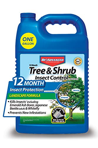BioAdvanced 701525A 12-Month Shrub Control Insect Killer and Tree Fertilizer, 1-Gallon, Landscape Formula Concentrate