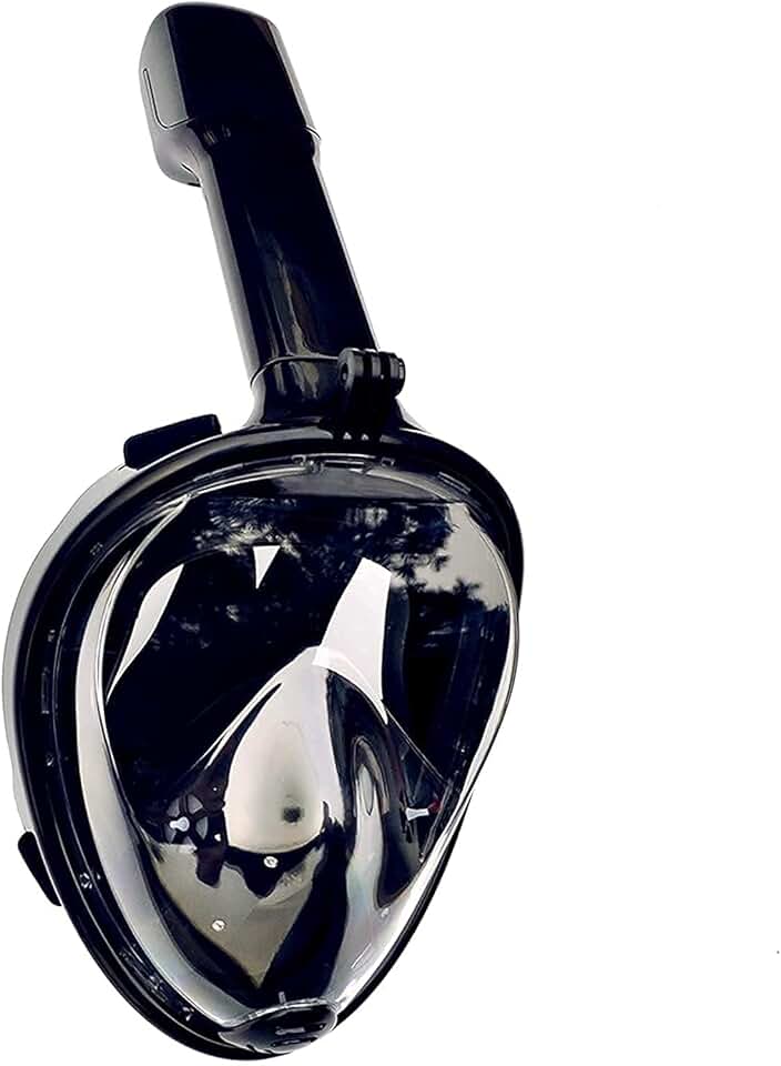 Diving mask Diving Masks Snorkelling Mask Scuba Snorkel Swimming Dry Snorkel Tube Set Anti-Fog Diving Professional Snorkelling Gear for Adults and Kids Masks(Black,Large)