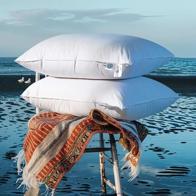 Shilucheng Goose Down Pillow King 2pack