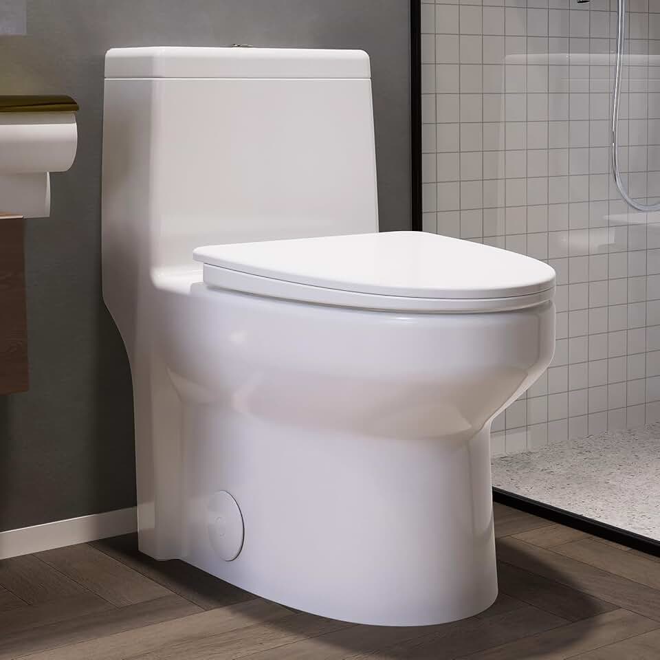 Elongated One Piece Toilet, 12