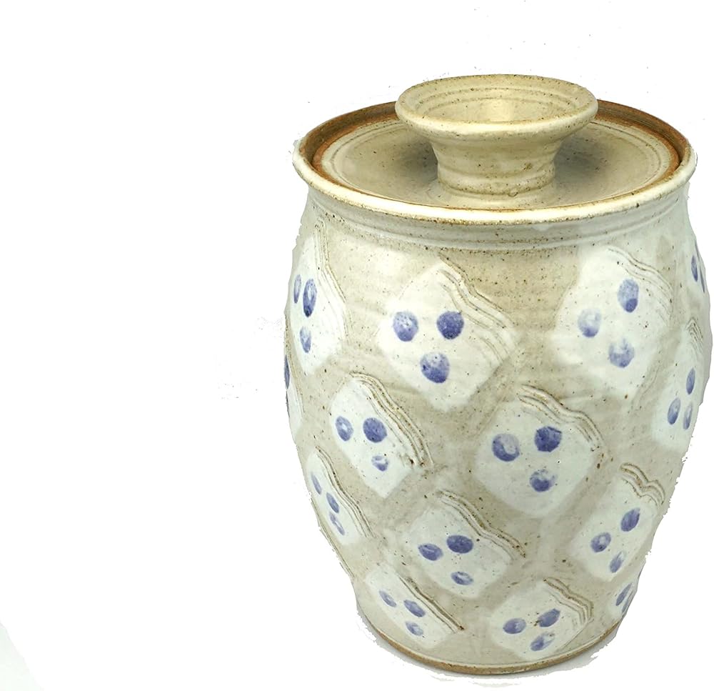 Kitchen Storage Jar Stoneware Pottery Covered Ceramic Cookie Jar