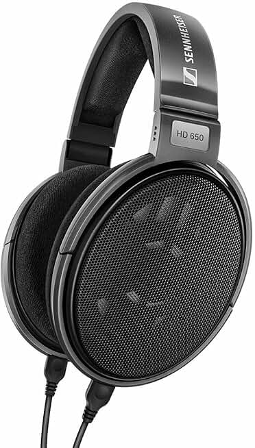 Sennheiser Consumer Audio HD 650 - Audiophile Hi-Res Open Back Dynamic Headphone, Titan