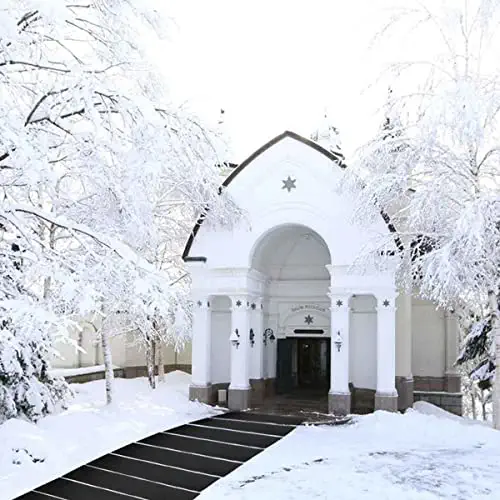 TROONZ PVC Ice Snow Melting Mats, Home Snow Melting System, Heated Outdoor Walkway Mat, Anti-Slip Prevents Ice Accumulation, 2