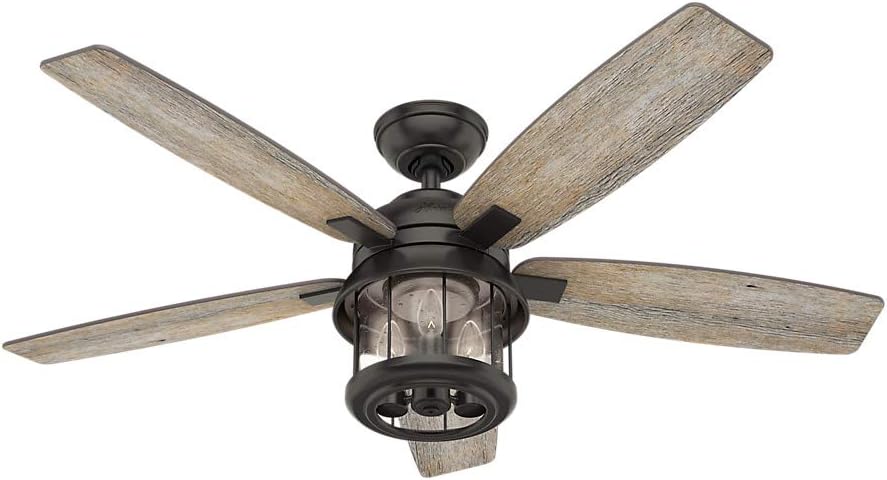 Hunter Fan Company 59420 Coral Bay Indoor/Outdoor Ceiling Fan with LED Light and Remote, 52, Black