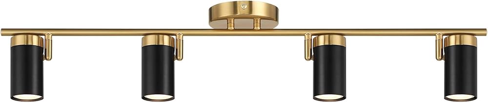 Pro Track 4-Light Black/Gold LED Track Fixture