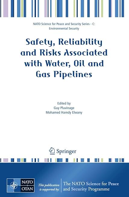 Safety, Reliability and Risks Associated with Water, Oil and Gas Pipelines (NATO Science for Peace and Security Series C: Environmental Security)