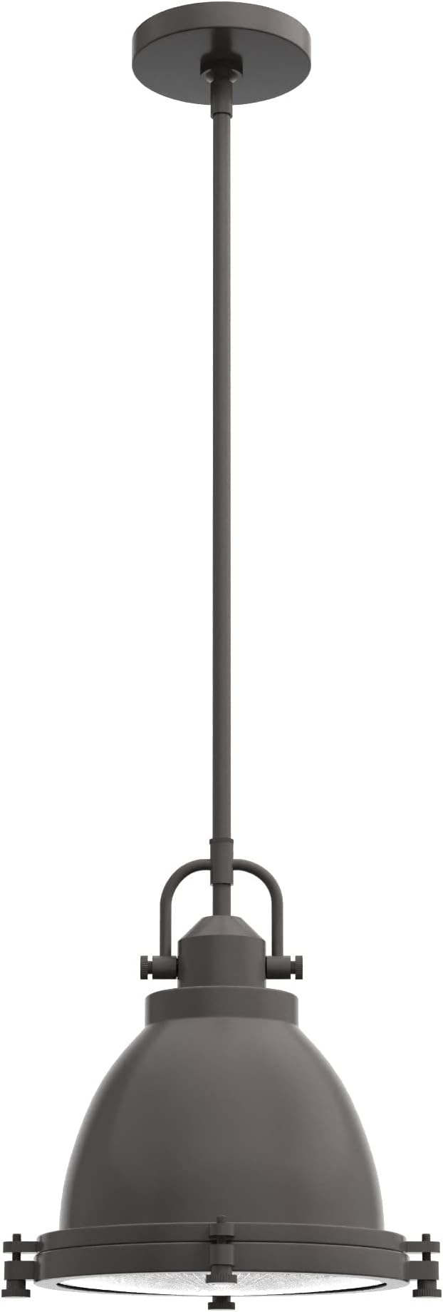 Hunter Fan Company 19106 Bridgemoor Pendant, Noble Bronze