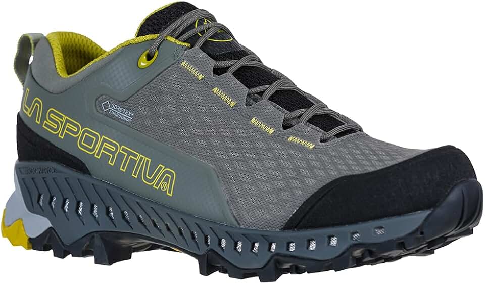 Womens Spire GTX Low Hiking Shoes