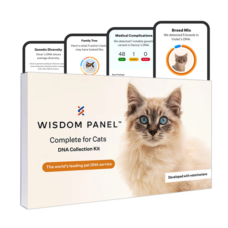 Wisdom Panel Complete: Comprehensive Cat DNA Test kit for 45 Health Genetic Health Conditions, 70+ Breeds and populations, 25+ Traits, Blood Type - 1 Pack