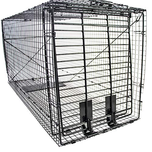 Humane Way Folding 50 Inch Live Humane Animal Trap - Safe Traps for All Animals - Dogs, Raccoons, Cats, Groundhogs, Opossums, Coyote, Bobcat - 50