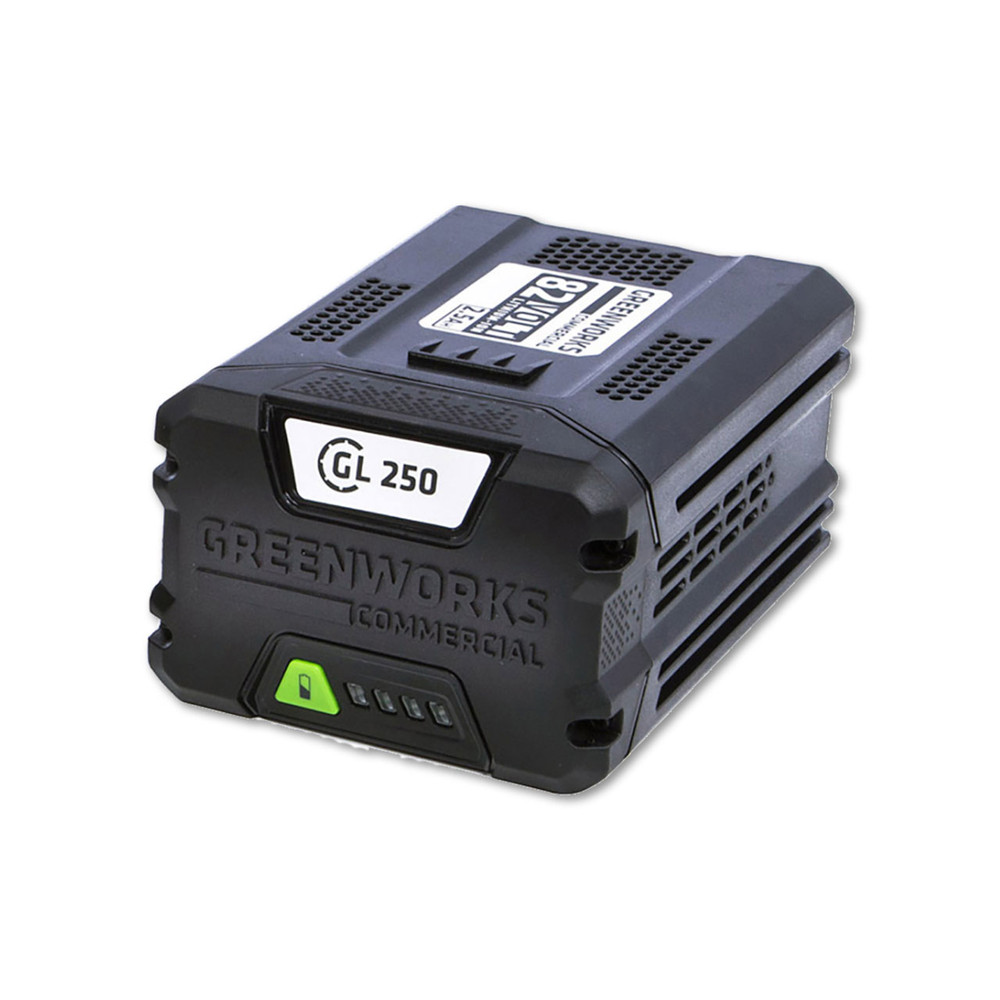 Portable Winch 2.5 Ah Lithium Battery