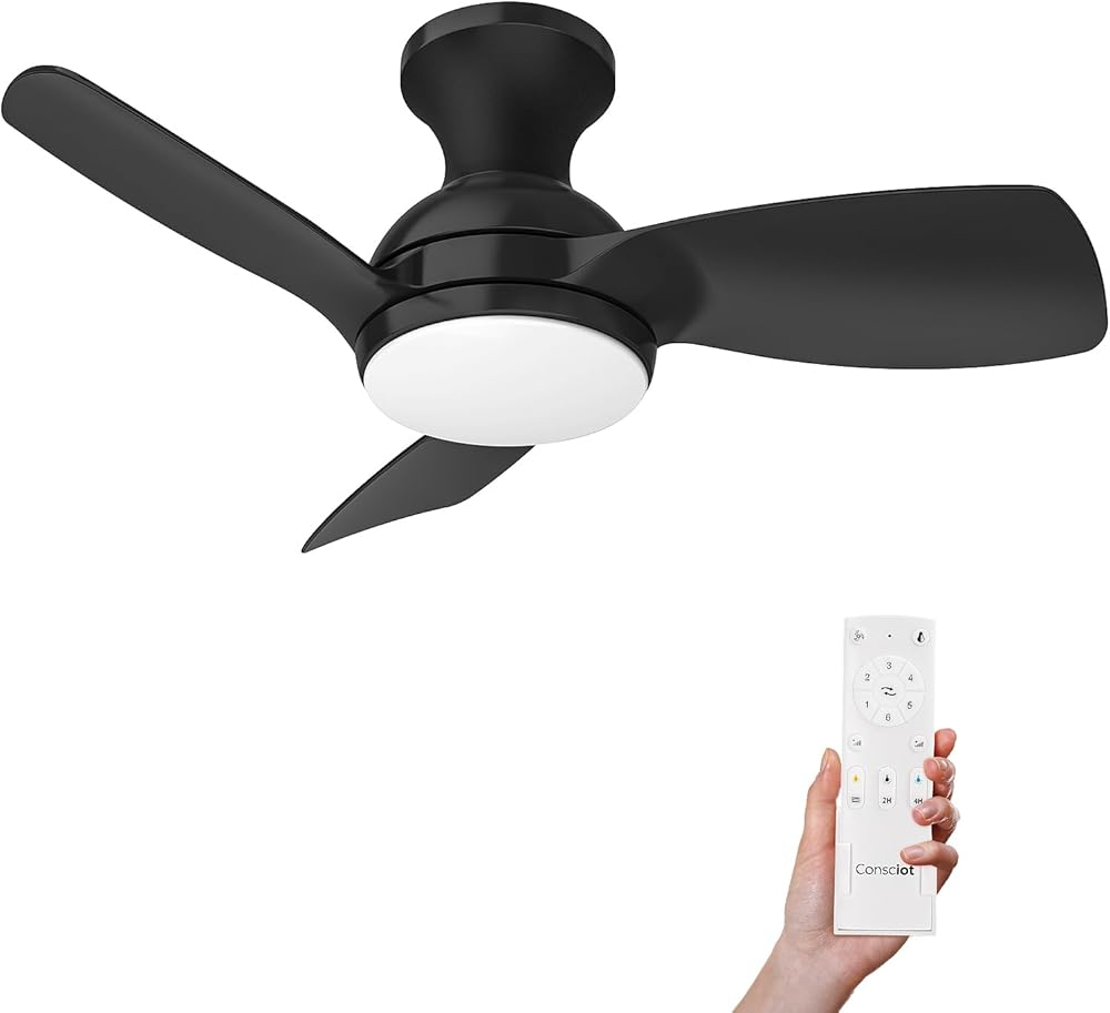 Consciot Ceiling Fan, Ceiling Fan With Lights Remote Control, Black Low Profile Modern Ceiling Fan 30 Inch, Flush Mount, Reversible Quiet DC Motor, 6 Speed, Dimmable, Kitchen Bedroom Patio Damp Rated
