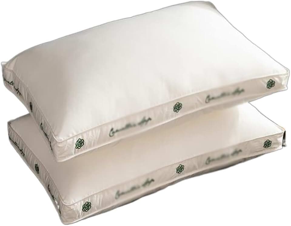 CSCDD Cotton Embroidered Pillow Helps Sleep. A Pair of Household Pillows are Comfortable and Soft