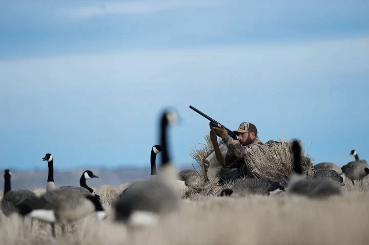 Low Rider 3.0 Layout Blind