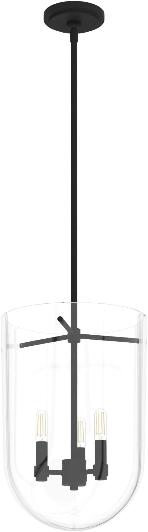 Hunter Fan Company 19318 Sacha Pendant Light, Natural Iron