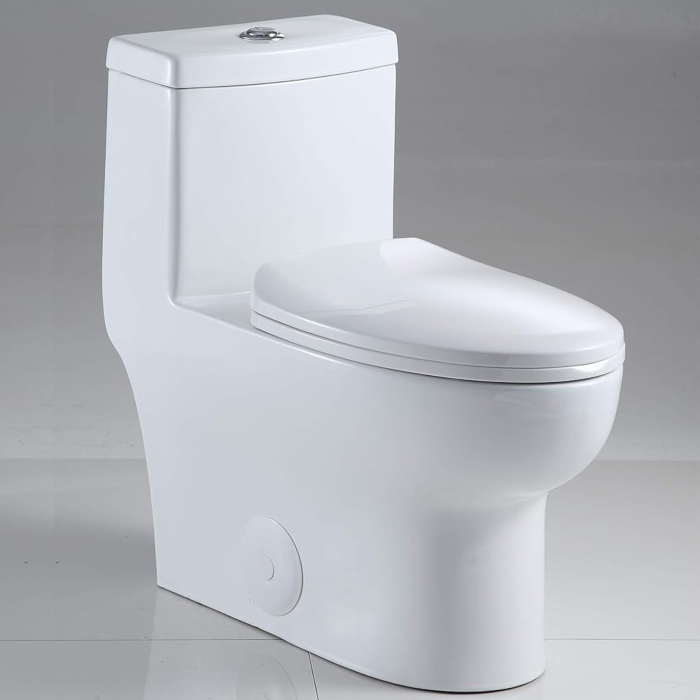 One Piece Toilet - Sarlai Tall Elongated Bathroom Toilet Comfort Height Dual Flush White Ceramic Modern Small Bathroom One Piece Toilet with Soft Seat, 12