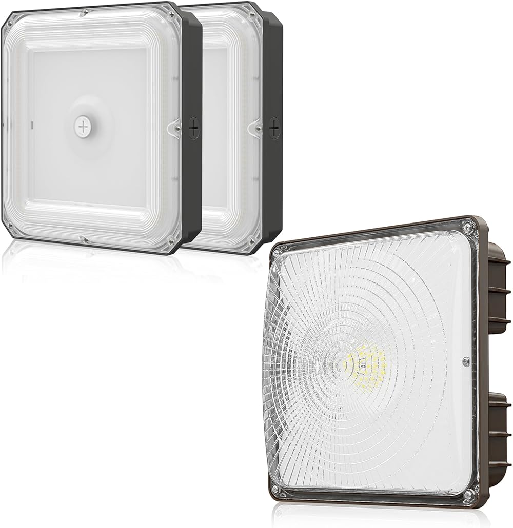 100W/40W LED Canopy Lights, IP65 Waterproof Commercial Canopy Lights Industrial Lighting for Gas Station Garage Warehouse Shop Hotel 5000K Daylight 140LM/W 2 Pack
