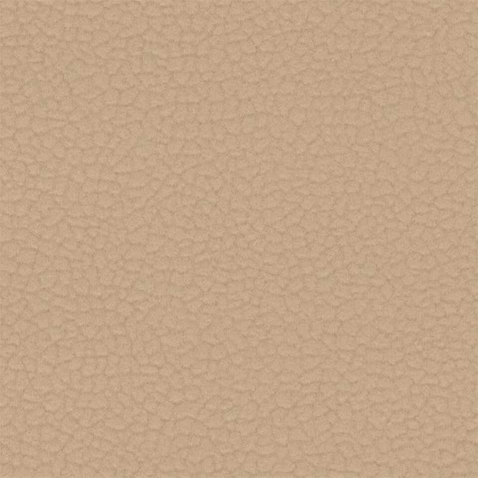 Liz Jordan-Hill Beige Luxury Embossed Upholstery Fabric by The Yard, Pet-Friendly Water Cleanable Stain Resistant Aquaclean Material for Furniture and DIY, AC Carabu 102 Conch(5 Yards)