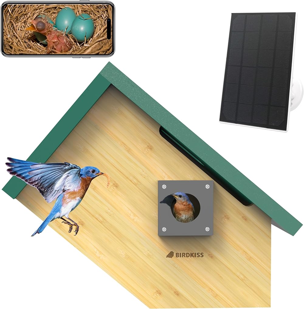Smart Bird Houses for Outside Solar Powered, 1080P HD Live View Birdhouse with Camera, Perfect Viewing Bird Nesting and Hatching, Ideal Outdoors Bird House for Blue Bird and Cardinal (Green)