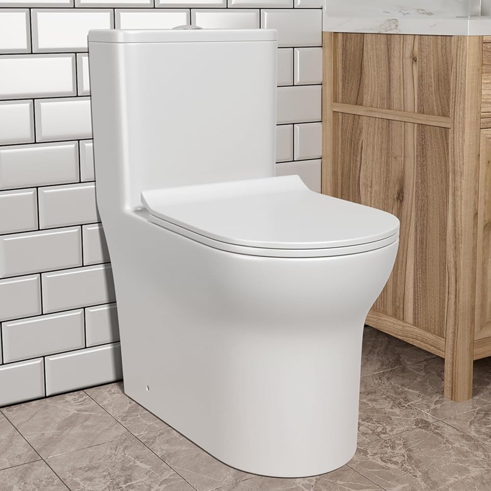 Dual Flush Elongated Standard One Piece Toilet with Comfortable Seat Height, Powerful & Quiet Dual Flush Modern Toilet, 12'' Rough-In, Glossy White，6618