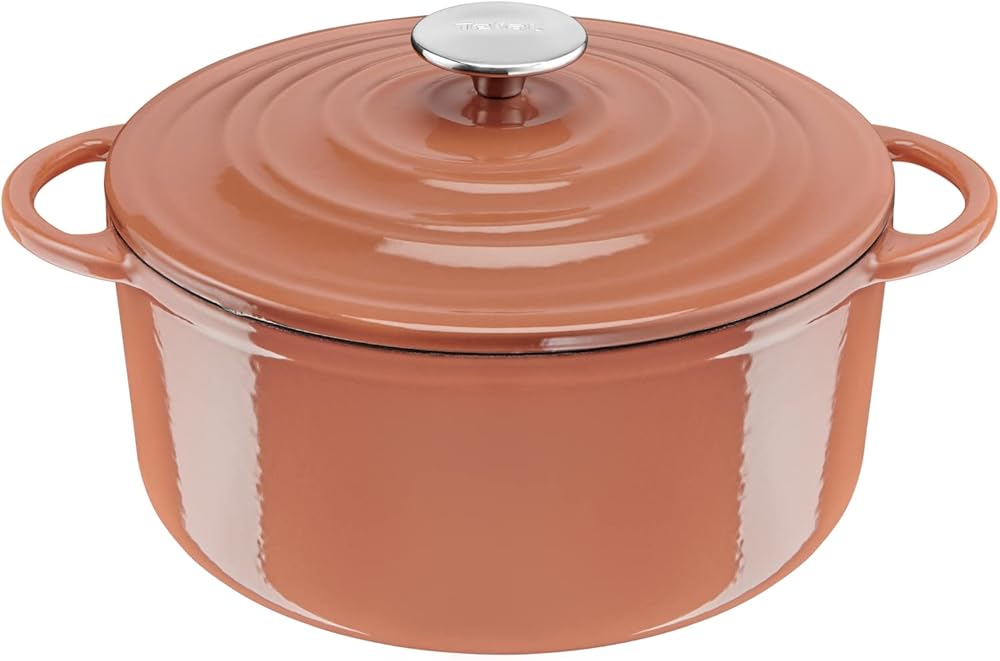 Tefal LOV Enamelled Cast Iron Casserole Dish with Lid, 25cm, 5.0L, Dutch Oven, All Hob Types, Cast Iron Pot, Cooking Pots, Dishwasher Safe, Terracotta, E2600404