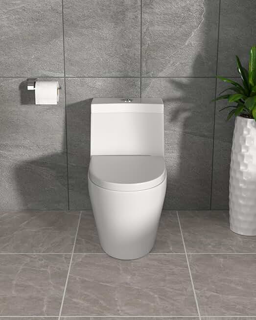 Bathroom Modern Elongated One Piece Toilet With Soft Closing Seat, Efficient 1.1/1.6GPF Dual Flush, 12