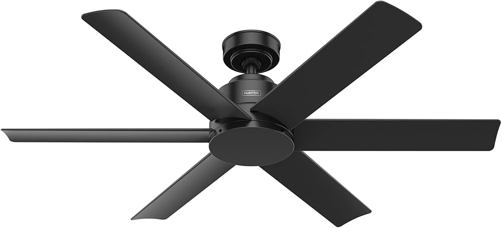 Fan Company Kennicott Outdoor Ceiling Fan, Plastic/Metal, Matte Black, 52 Inch