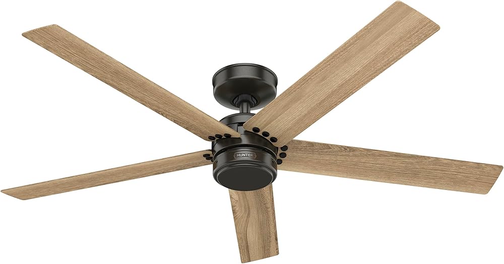 Hunter Fan Company 52264 Burton Ceiling Fan, Noble Bronze